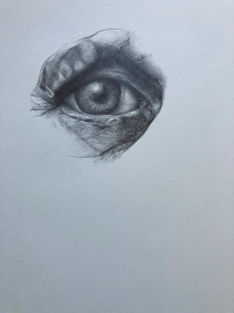 øje